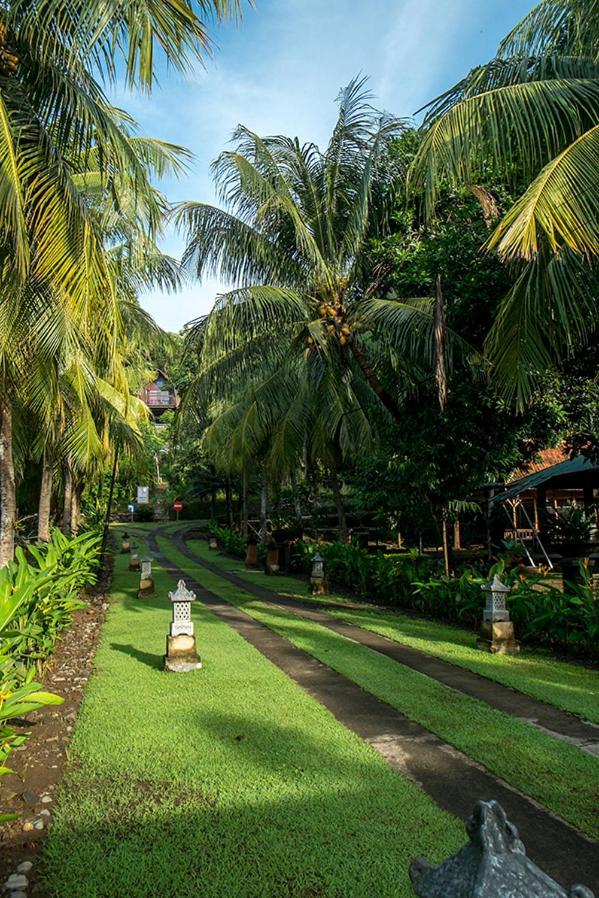 Bella Vista Premium Homestay Banyuwangi  Esterno foto